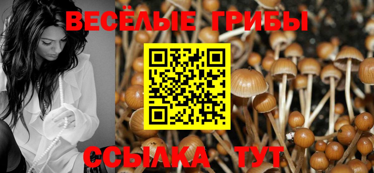 купить   Псилоцибиновые грибы ЛСД  Вход с VPN  Псилоцибиновые грибы мицелий  Чехов 